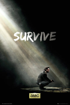 Plakát The Walking Dead - Survive