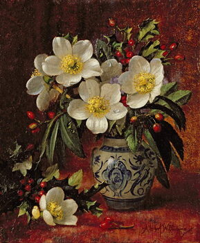 Plakát AB249 Still Life of Christmas Roses and Holly