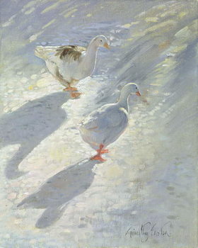 Plakát Against the Slope