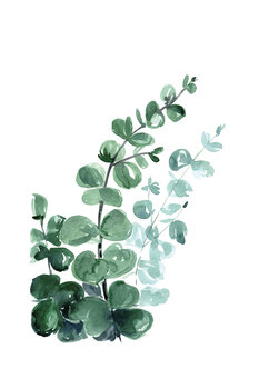 Druk artystyczny Blursbyai - Watercolour eucalyptus