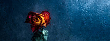 Plakát Bunch of beautiful faded flowers through