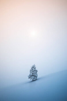 Plakát Christmas Tree