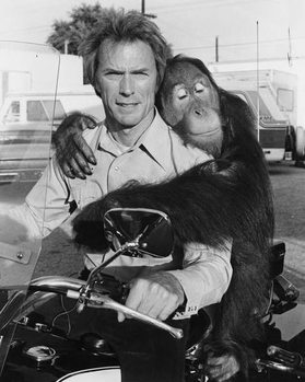 Plakát Clint Eastwood And Clyde., Every Which Way