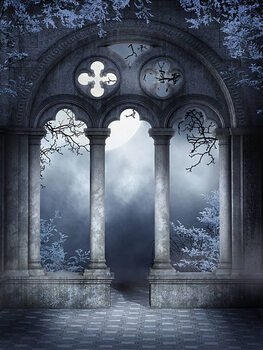 Plakát Cloister ruins with vines