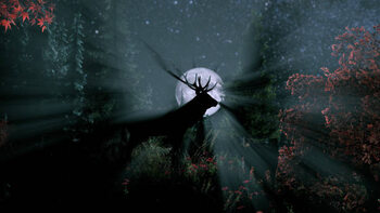 Plakát deer with antlers silhouette during the