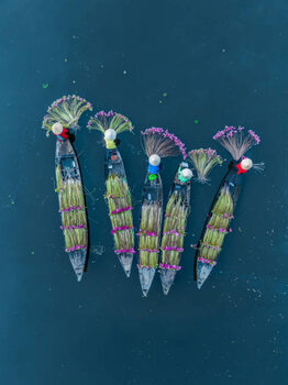 Plakát Drone shot looking down on five