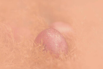 Plakát Easter eggs in dry reed grass