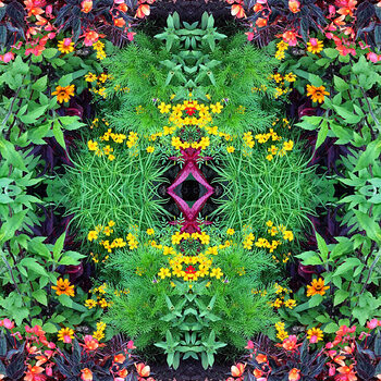 Plakát Flower Mandala