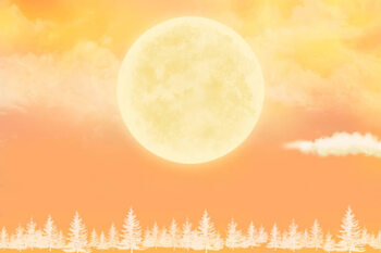 Plakát full moon or the sun and