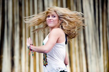 Plakát Glastonbury Festival 2010