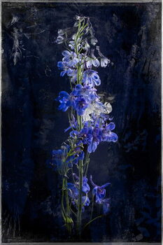 Plakát Gloaming, 2018