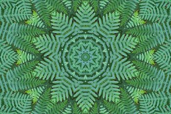 Plakát Green Ferns Pattern