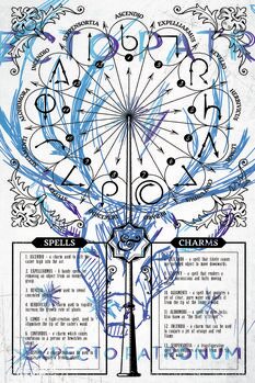 Plakát Harry Potter - Expectopatronum