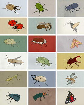 Obraz na plátně Insects, 2012