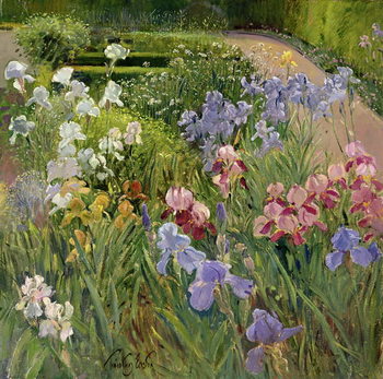 Plakát Irises at Bedfield