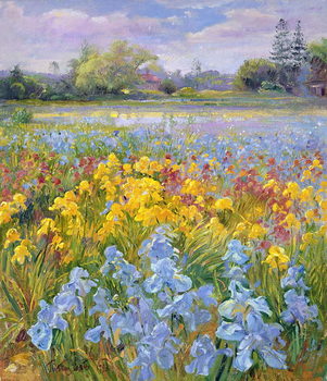 Obraz na plátně Irises, Willow and Fir Tree, 1993