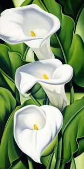 Plakát Lilies, 2002