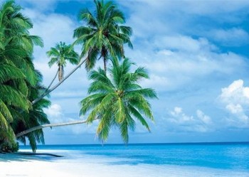 Plakát Maledives - fihalhohi island