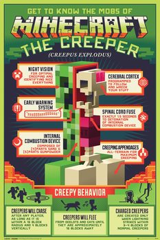 Plakát Minecraft - Creepy Behaviour