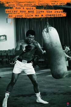 Plakat Muhammad Ali - Sandsack