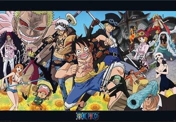 Plakát One Piece - Dressrosa
