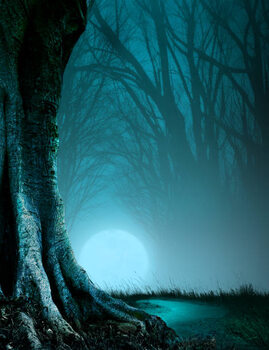 Plakát Path Through A Haunted Forest