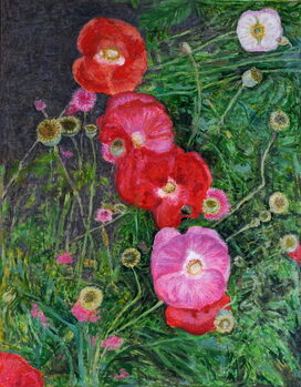 Obraz na plátně Poppies, 2009