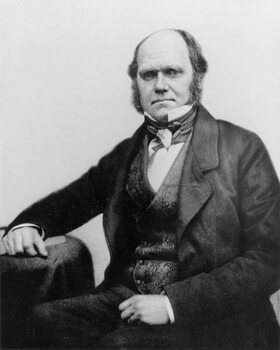Plakát Portrait of Charles Darwin, 1854