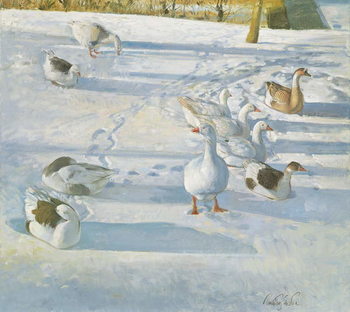 Plakát Resting on the Slope