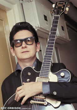 Plakát Roy Orbison - Colour with Gretsch London 1967