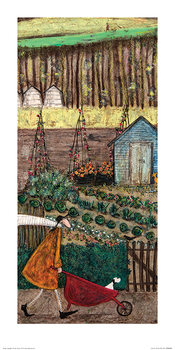 Reprodukcja Sam Toft - Summer