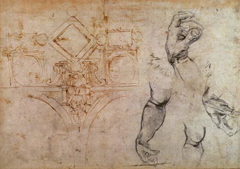 Plakát Scheme for the Sistine Chapel Ceiling, c.1508