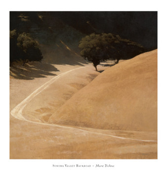 Druk artystyczny Sonoma Valley Backroad