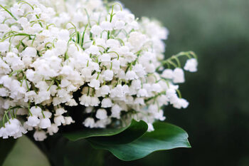 Plakát Spring collection of holiday cards with