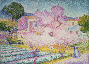 Obraz na plátně Spring trees in blossom