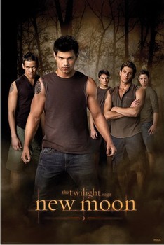 Plakát STMÍVÁNÍ NOVÝ MĚSÍC - wolf pack