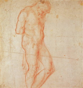 Plakát Study of a Nude