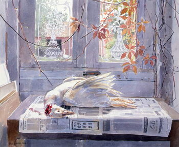 Plakát Summer (A Gander's Lament) 1994