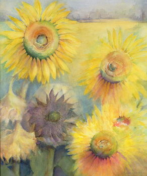 Plakát Sunflowers