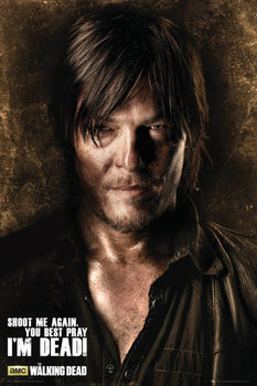 Plakát THE WALKING DEAD - Daryl Shadows