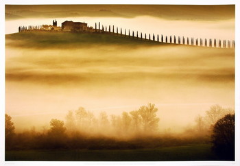 Druk artystyczny Trees in Mist II
