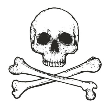 Plakát vector illustration of skull and crossbones