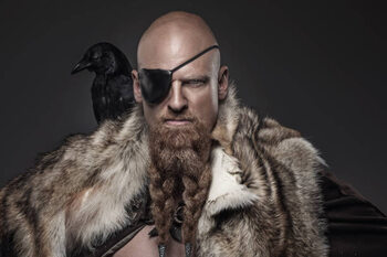 Plakát Viking warrior Odin man with crows