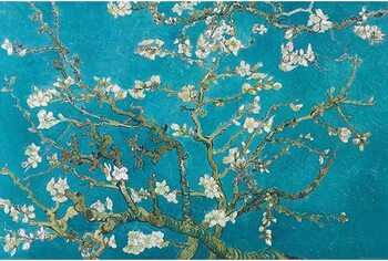 Plakát Vincent van Gogh - Květoucí větve mandlovníku