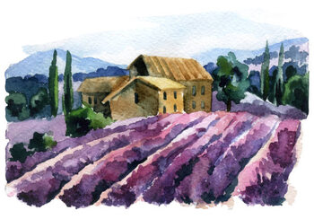 Plakát Watercolor lavender field landscape. Summer in