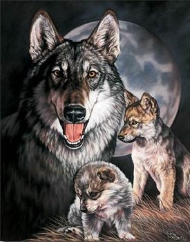 Plaque en métal GRAHAM - Wolf Experience