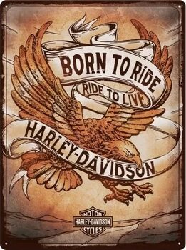 Plaque en métal Harley-Davidson - Born to Ride
