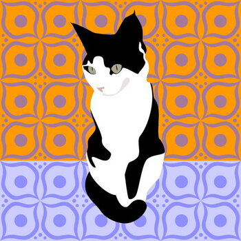 Obraz na płótnie Cat on Morrocan Tiles