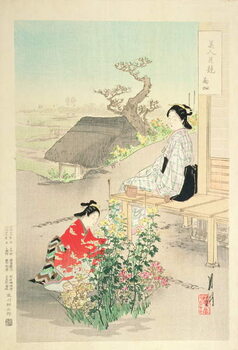 Obraz na płótnie 'Chrysanthemum Garden'