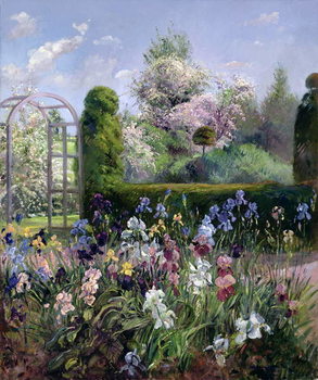 Obraz na płótnie Irises in the Formal Gardens, 1993